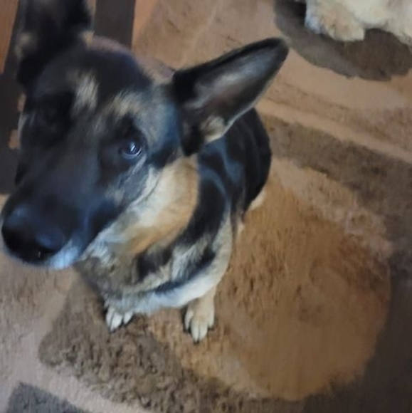 Meet your Posher, Janis - Picture 1 of 1